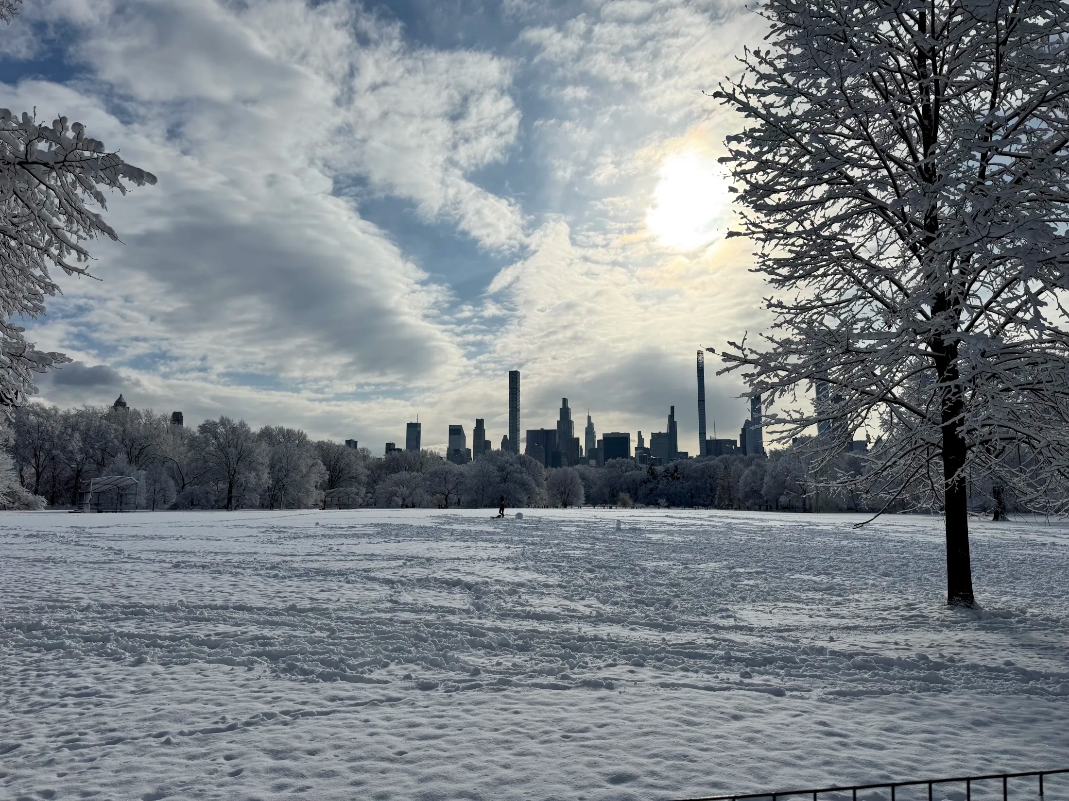 A frozen Central Park lake and snow-covered trees with the Billionaires' Row skyline beyond.